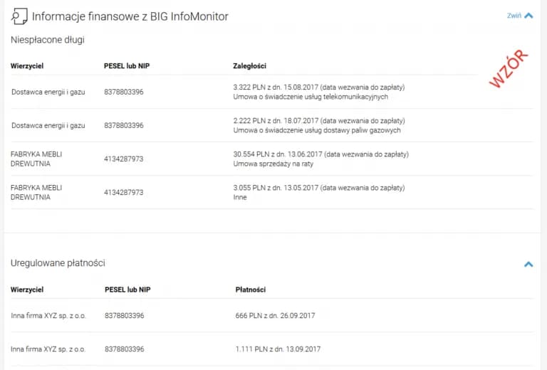 Jak sprawdzić firmę w BIK i uniknąć finansowych pułapek