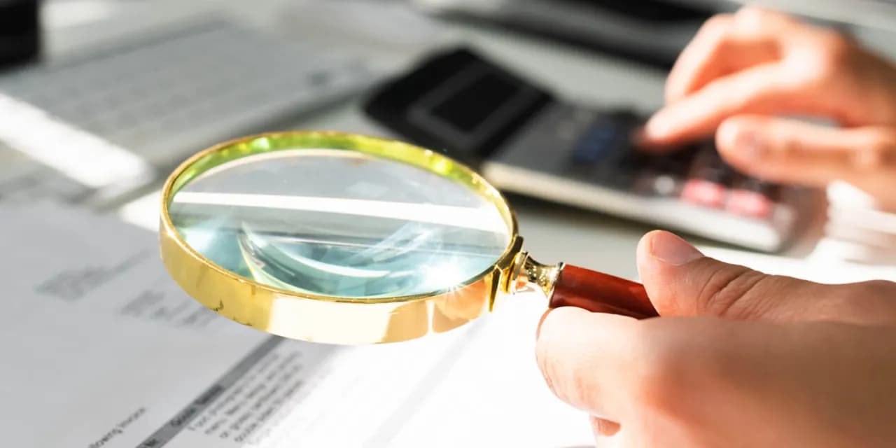 Jak sprawdzić zadłużenie w urzędzie skarbowym online bez problemów